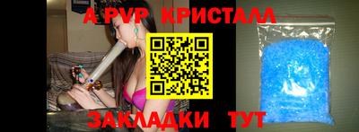 кокс Ростов Великий