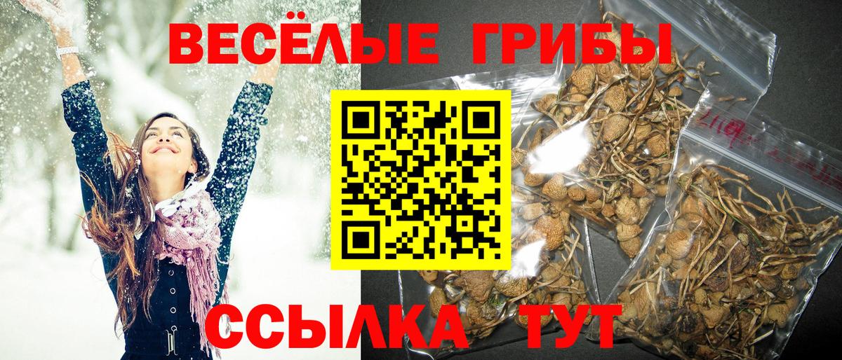 Псилоцибиновые грибы прущие грибы Борисоглебск