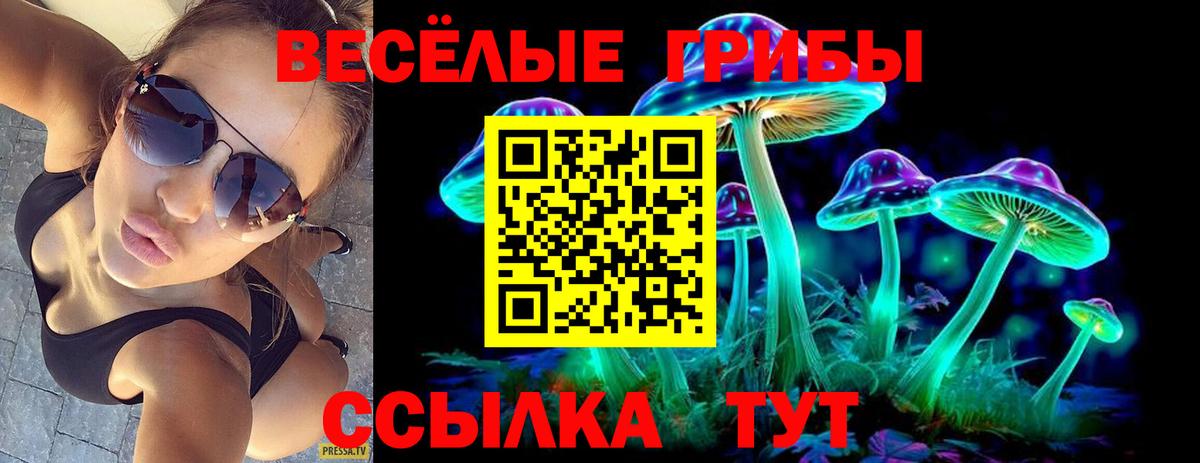 Галлюциногенные грибы Magic Shrooms  где можно купить наркотик  Вход с VPN  Борисоглебск  Псилоцибиновые грибы мухоморы 